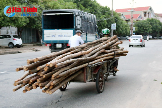 rung minh truoc nhung may chem di dong