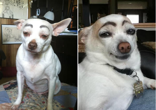 10 anh hai hot nhat facebook trong ngay