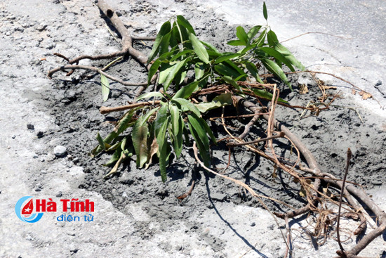 nguoi dan ong khung mot minh va duong giua trua nang