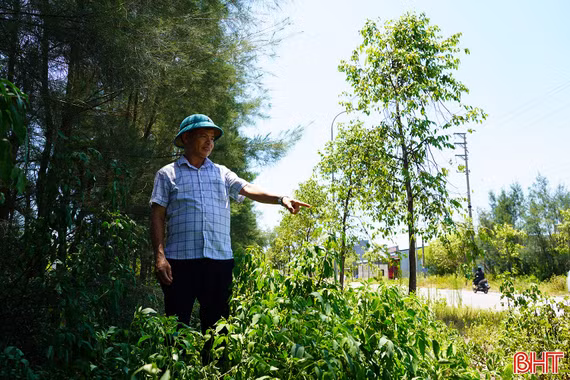 Nhếch nhác tuyến “cửa ngõ” phía đông phường Thành Sen