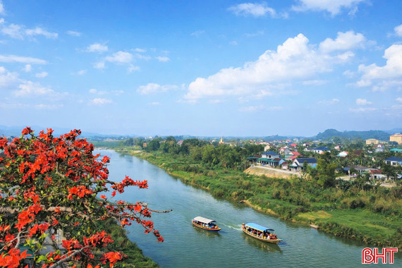 Chiêm ngưỡng cây hoa gạo cổ thụ bung nở bên dòng Ngàn Phố