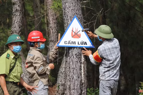 62 xã, phường của Hà Tĩnh có nguy cơ cháy rừng ở cấp cực kỳ nguy hiểm