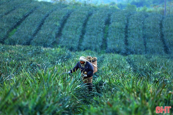 Thông tin mới nhất về thời tiết Hà Tĩnh những ngày tới