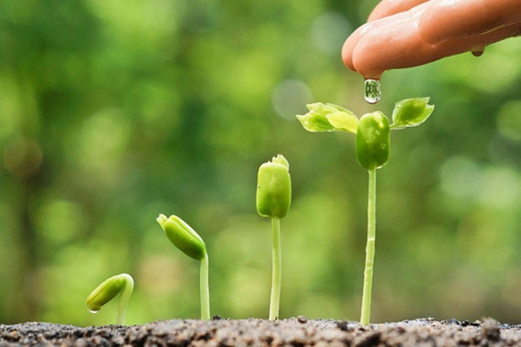 Trân trọng sự sống...