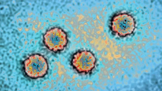 Căn bệnh viêm gan bí ẩn ở trẻ em có thể do adenovirus