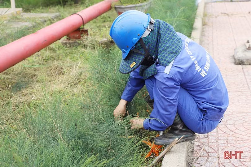 Sắc xanh trong nhà máy nhiệt điện lớn nhất miền Trung