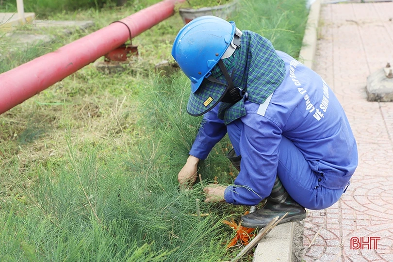 Sắc xanh trong nhà máy nhiệt điện lớn nhất miền Trung