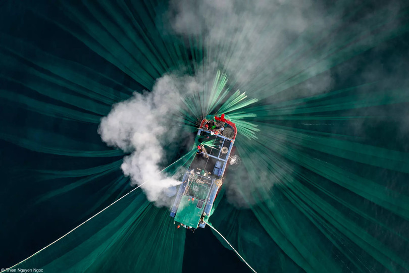 Giáo sư người Việt được Liên minh quốc tế về hóa học vinh danh