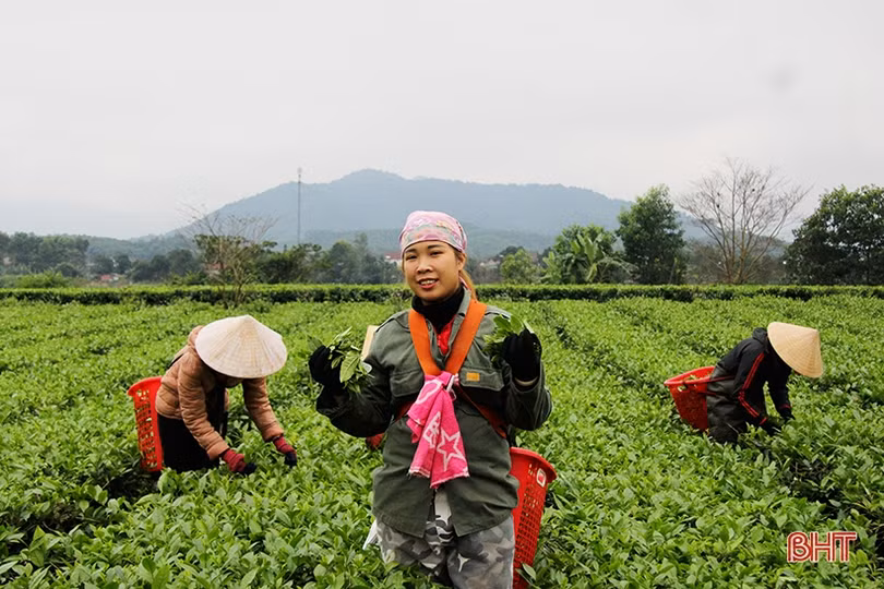 Thủ tướng Chính phủ công nhận huyện Hương Sơn đạt chuẩn nông thôn mới