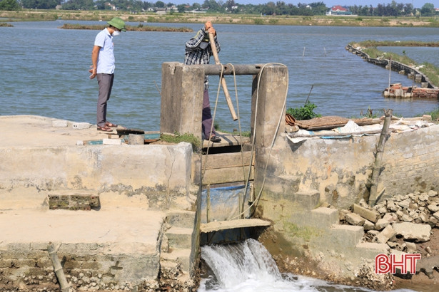 Tôm, cua chết bất thường ở Nghi Xuân không phải do môi trường nước! ảnh 1 Tôm, cua chết bất thường ở Nghi Xuân không phải do môi trường nước!