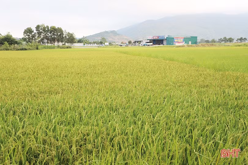 Nỗ lực lớn, quyết tâm cao trong thực hiện nhiệm vụ kinh tế - xã hội