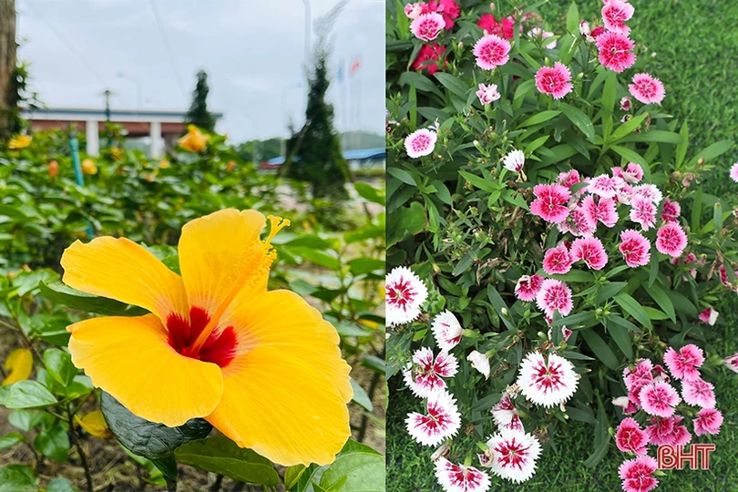 Sắc xanh trong nhà máy nhiệt điện lớn nhất miền Trung