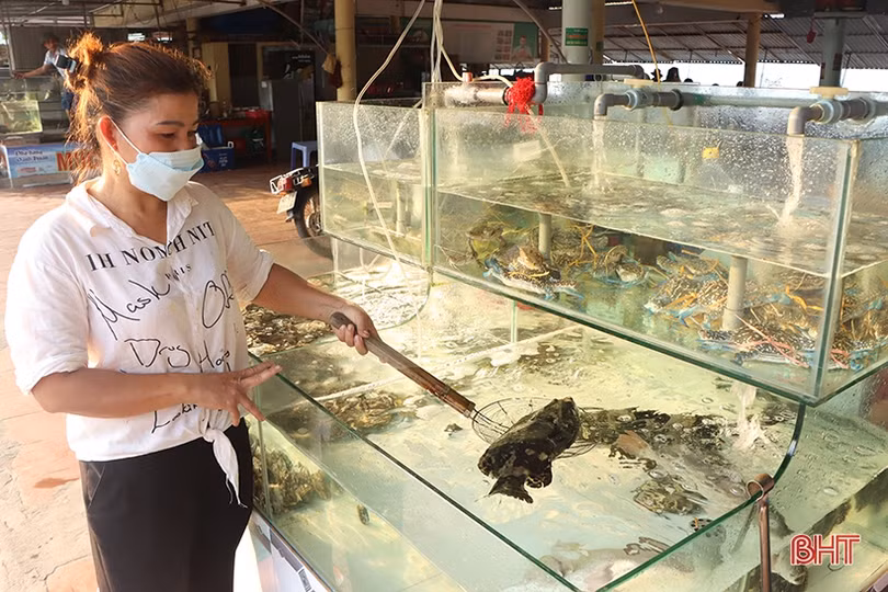 Háo hức chờ ngày khai hội Du lịch biển Hà Tĩnh