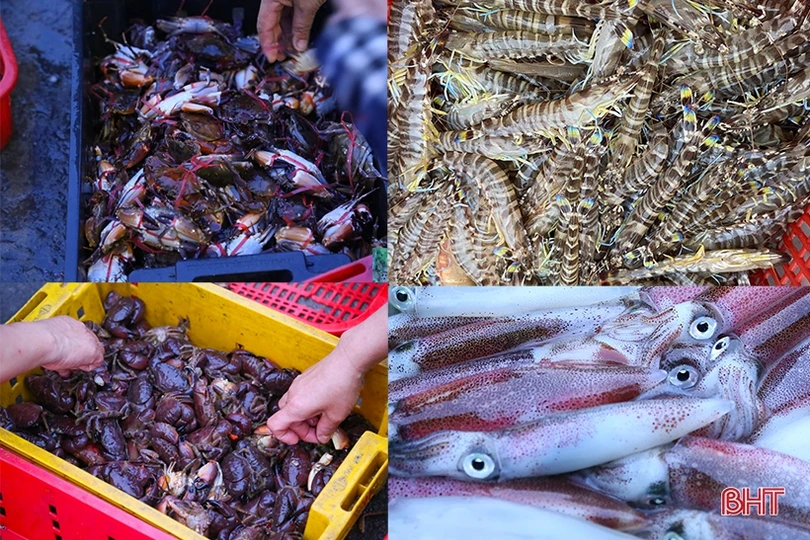 Ngư dân “vui như hội” mùa du lịch biển Hà Tĩnh