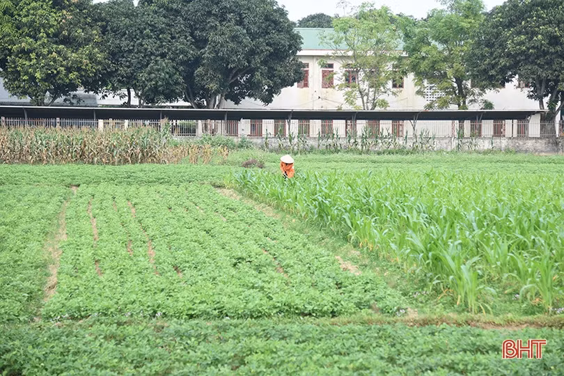 Tiếp nối mạch nguồn truyền thống trên quê hương cố Tổng Bí thư Trần Phú