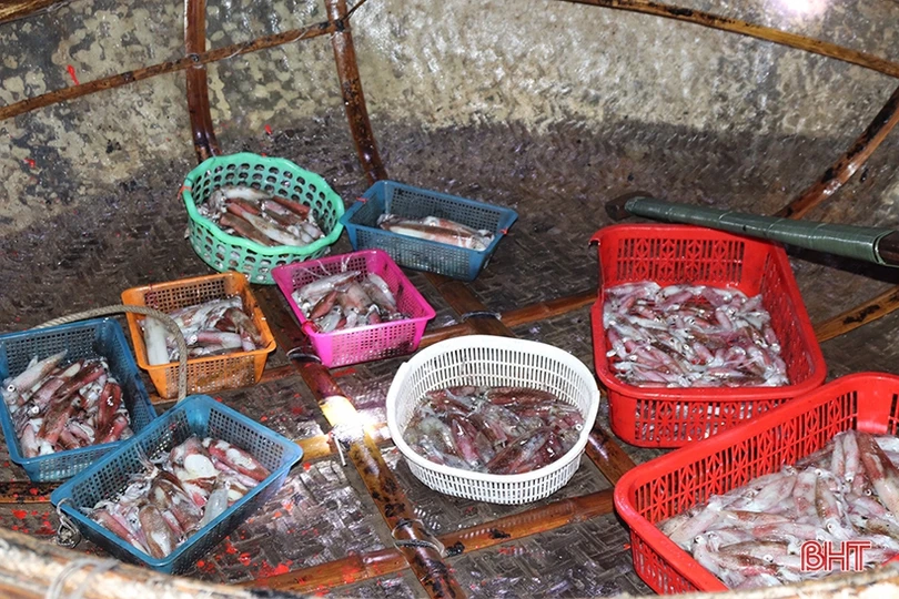 Ngư dân “vui như hội” mùa du lịch biển Hà Tĩnh