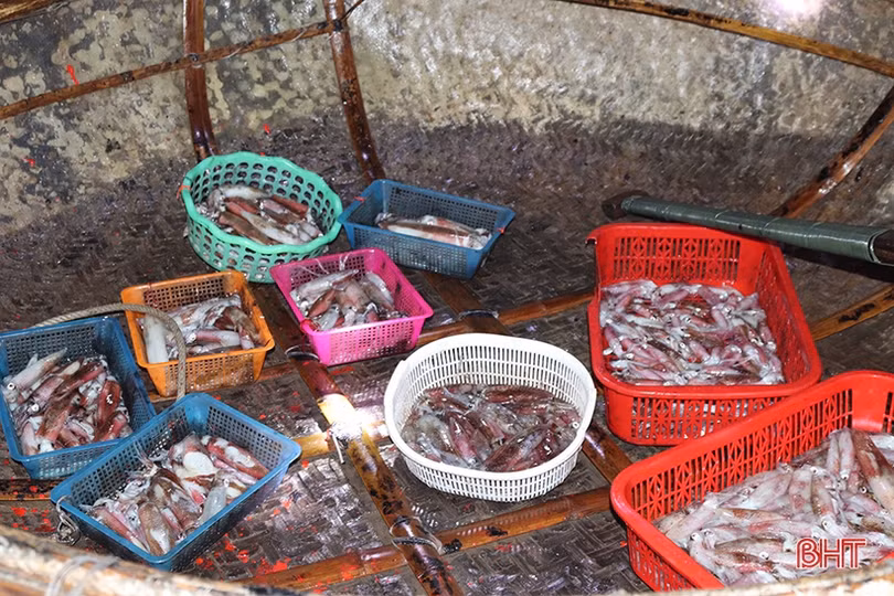 Ngư dân “vui như hội” mùa du lịch biển Hà Tĩnh