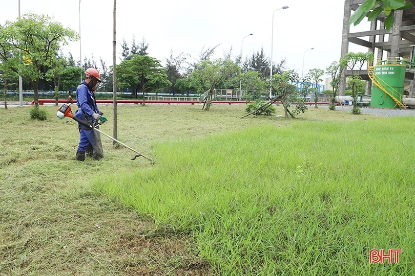 Sắc xanh trong nhà máy nhiệt điện lớn nhất miền Trung