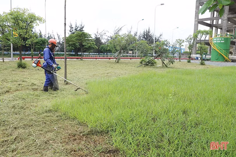 Sắc xanh trong nhà máy nhiệt điện lớn nhất miền Trung