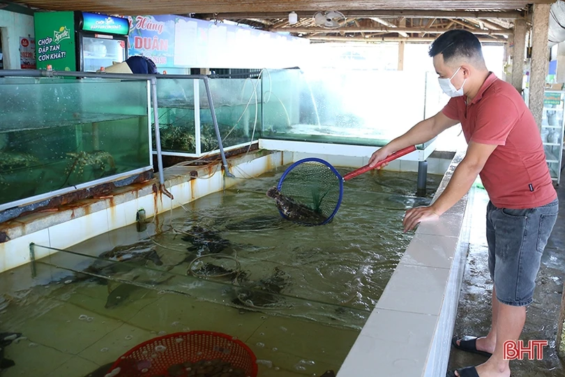 Ngư dân “vui như hội” mùa du lịch biển Hà Tĩnh