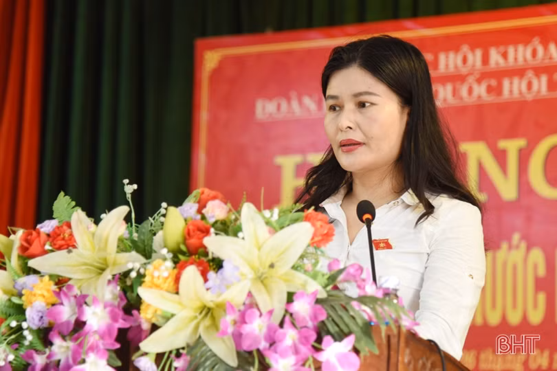 Cử tri TP Hà Tĩnh kiến nghị về quy hoạch thành phố, phát triển đô thị