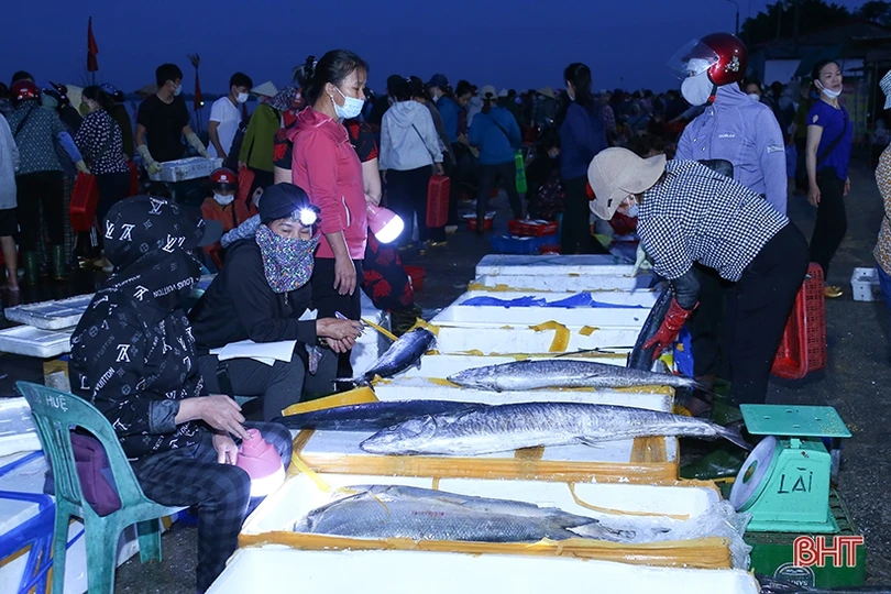 Ngư dân “vui như hội” mùa du lịch biển Hà Tĩnh