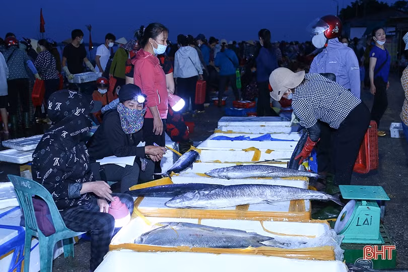 Ngư dân “vui như hội” mùa du lịch biển Hà Tĩnh