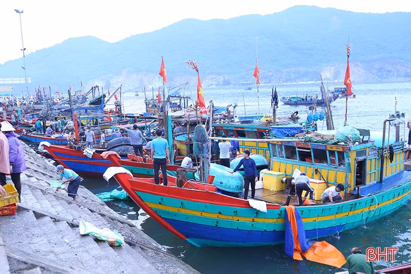 Ngư dân “vui như hội” mùa du lịch biển Hà Tĩnh