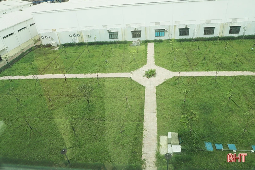 Sắc xanh trong nhà máy nhiệt điện lớn nhất miền Trung