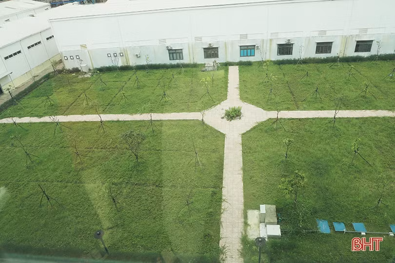 Sắc xanh trong nhà máy nhiệt điện lớn nhất miền Trung