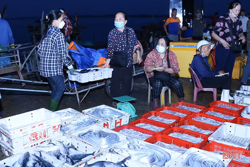 Ngư dân “vui như hội” mùa du lịch biển Hà Tĩnh