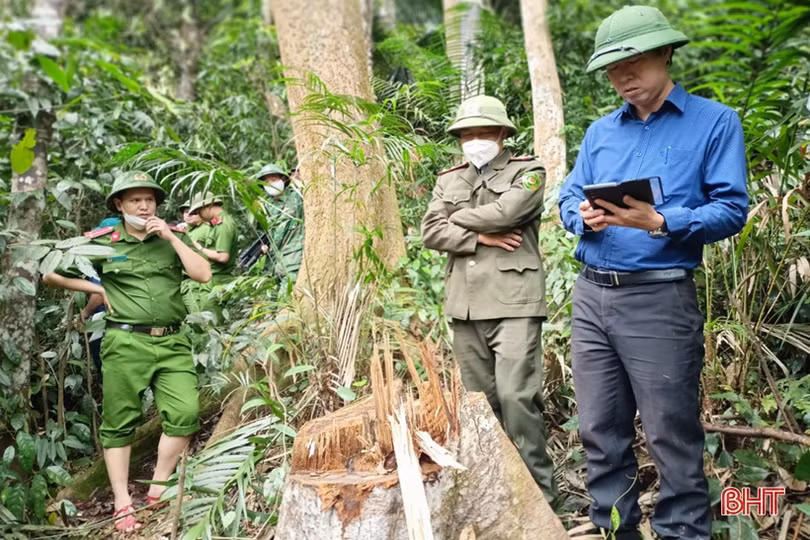 Nỗ lực cao nhất ứng phó thiên tai, phòng chống cháy rừng và thực hiện thắng lợi vụ hè thu 2022