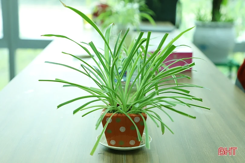 Sắc xanh trong nhà máy nhiệt điện lớn nhất miền Trung