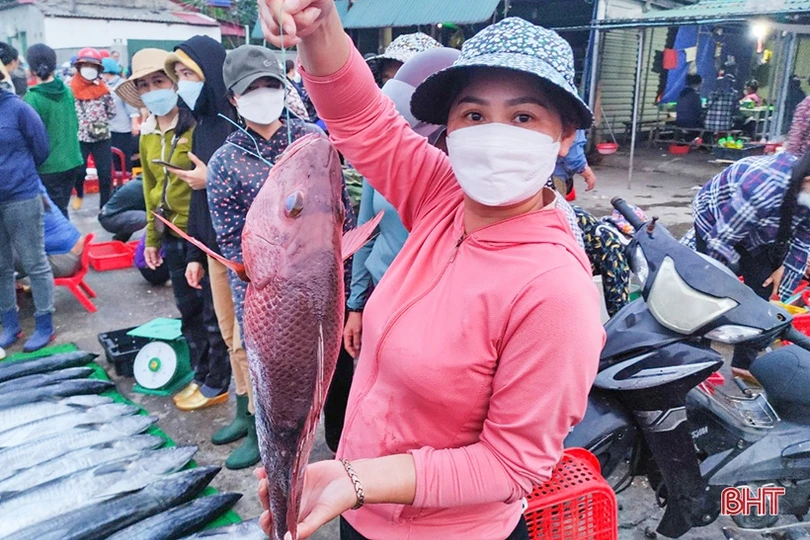 Ngư dân “vui như hội” mùa du lịch biển Hà Tĩnh