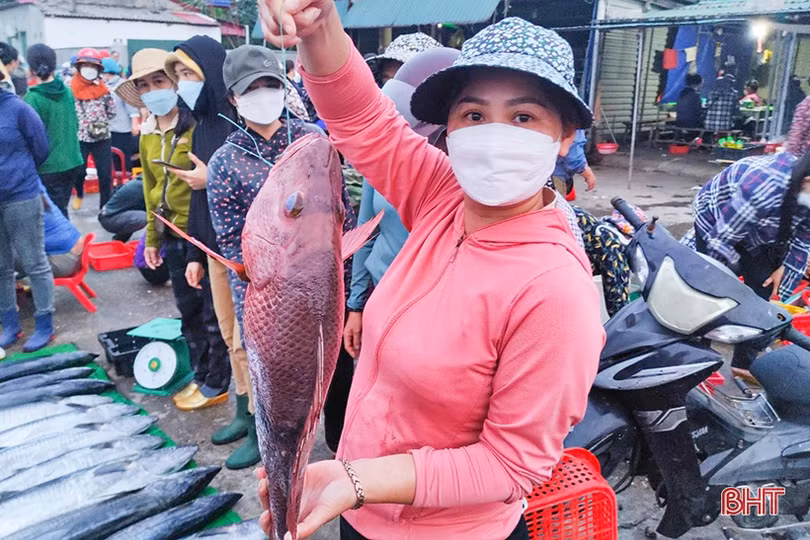 Ngư dân “vui như hội” mùa du lịch biển Hà Tĩnh