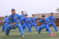 Sức hút của môn võ Vovinam