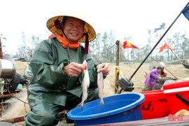 Cá cháo đầu mùa được giá, ngư dân phấn khởi đánh bắt