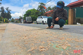 Đường đi thành nơi phơi ruốc, chuyện tưởng đùa nhưng có thật!
