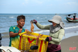 Được mùa ruốc biển, ngư dân Hà Tĩnh "kiếm" tiền triệu mỗi ngày