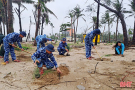 Trồng 10.000 cây phi lao chống sạt lở bờ biển Khu du lịch Xuân Thành