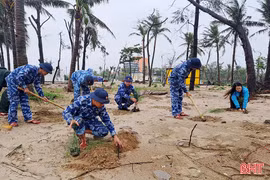 Trồng 10.000 cây phi lao chống sạt lở bờ biển Khu du lịch Xuân Thành
