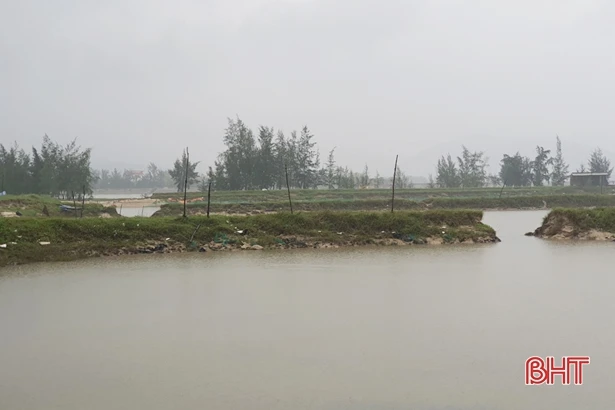 Ốc hương mất trắng sau mưa lũ, người dân xứ Cồn Vạn nợ chồng nợ!