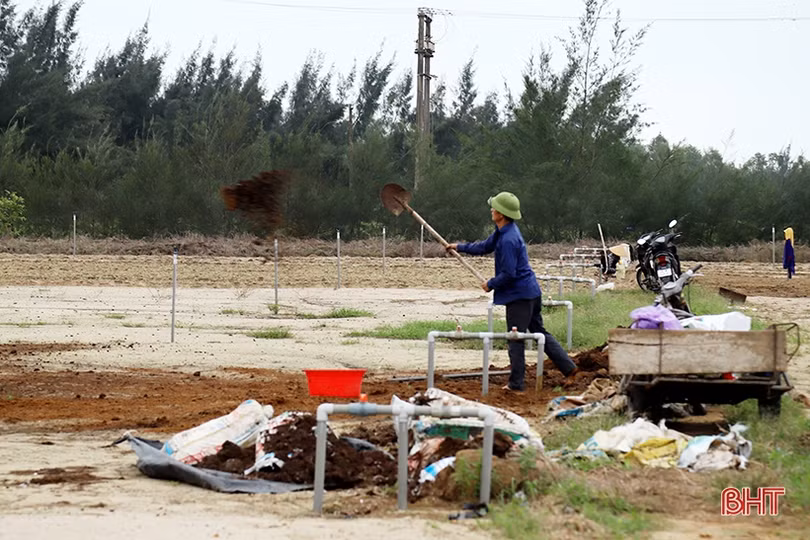 Nông dân Hà Tĩnh khẩn trương ra đồng khôi phục sản xuất