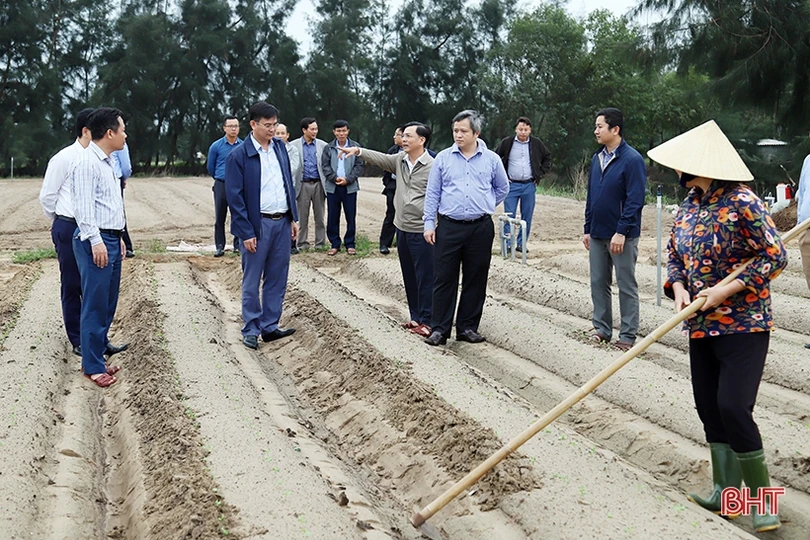 Hà Tĩnh khẩn trương khôi phục sản xuất vụ đông