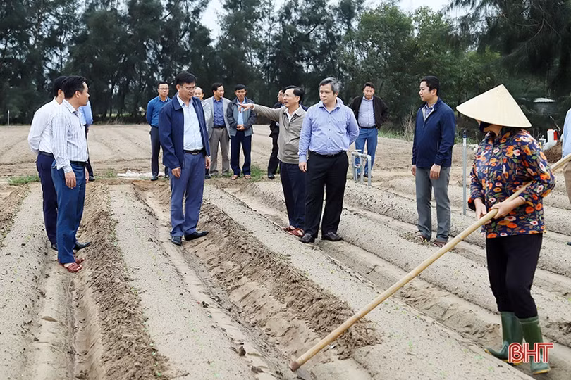 Hà Tĩnh khẩn trương khôi phục sản xuất vụ đông