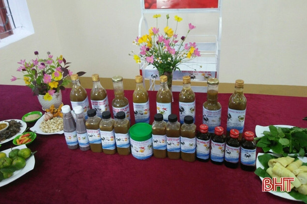 Ý tưởng khởi nghiệp của nhóm học sinh lớp 8 Hà Tĩnh vào bán kết cuộc thi cấp bộ