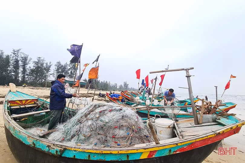 Ngư dân Song Yên vui như hội vì trúng cá chim vàng