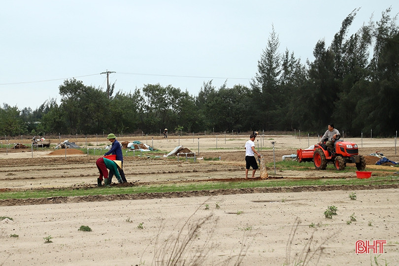 Chủ tịch UBND tỉnh Hà Tĩnh kiểm tra, động viên người dân Thạch Hà khôi phục sản xuất