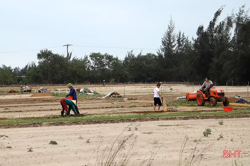 Chủ tịch UBND tỉnh Hà Tĩnh kiểm tra, động viên người dân Thạch Hà khôi phục sản xuất