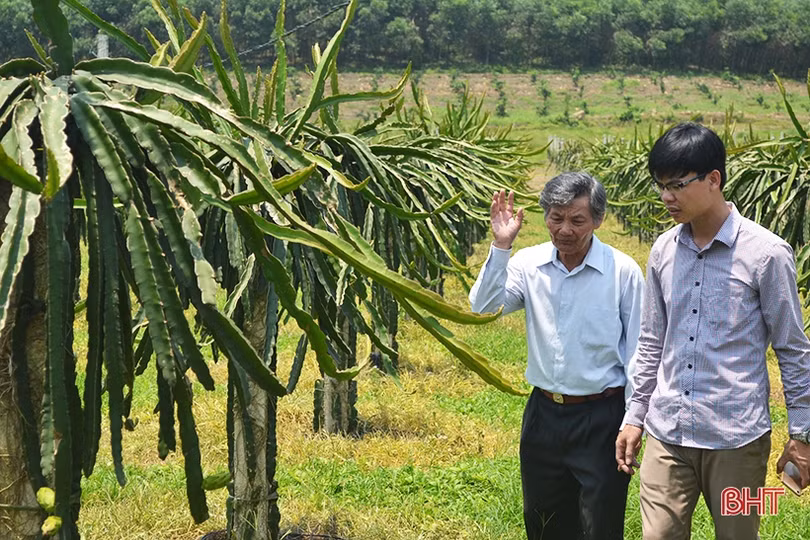 Người góp sức “đánh thức” phong trào làm vườn mẫu ở Hà Tĩnh
